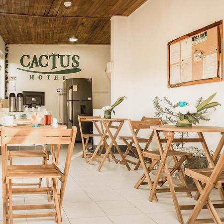 Hotel Cactus Taganga Extérieur photo